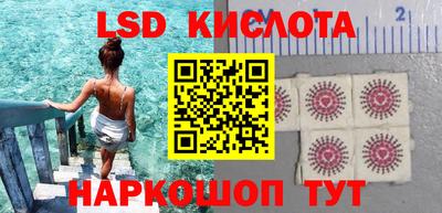 СК Волгодонск