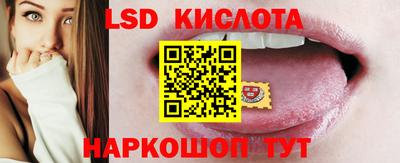 СК Волгодонск