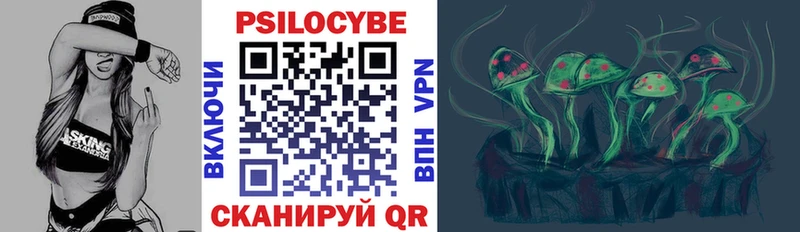 продажа наркотиков  Златоуст  Псилоцибиновые грибы Psilocybe 