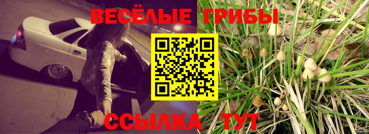 Псилоцибиновые грибы мухоморы Златоуст