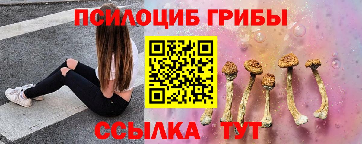 Златоуст  Псилоцибиновые грибы прущие грибы  Вход с VPN 